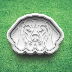 Vizsla Sütikiszúró