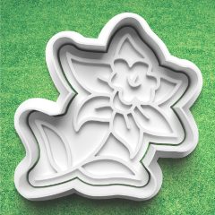 Nárcisz Sütikiszúró